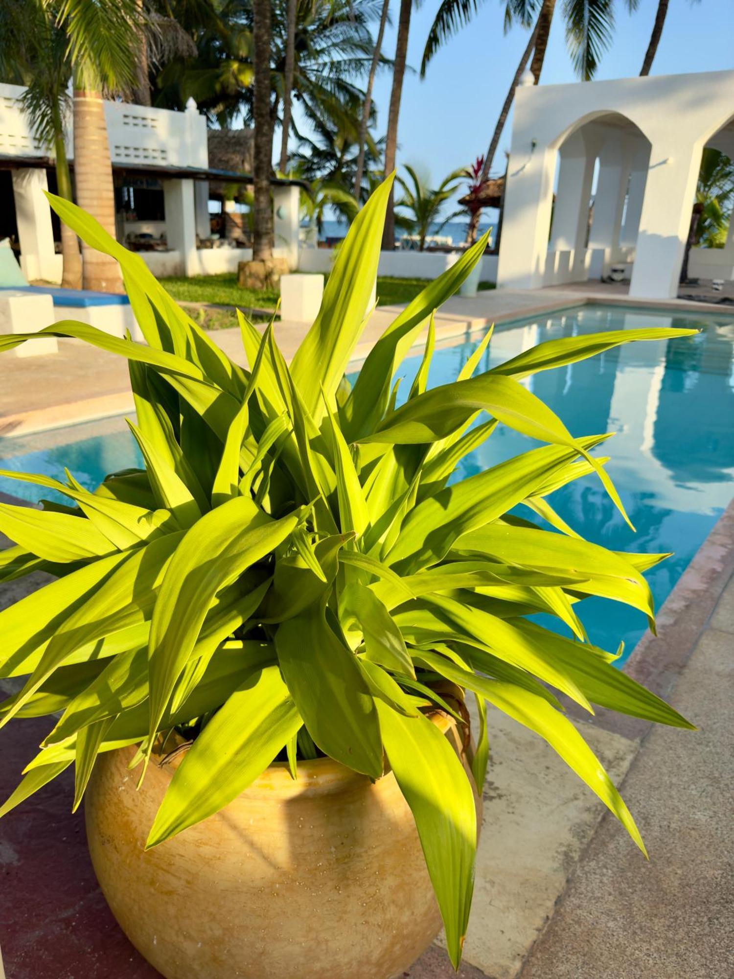 Sawa Sawa Beach House Msambweni Exterior photo