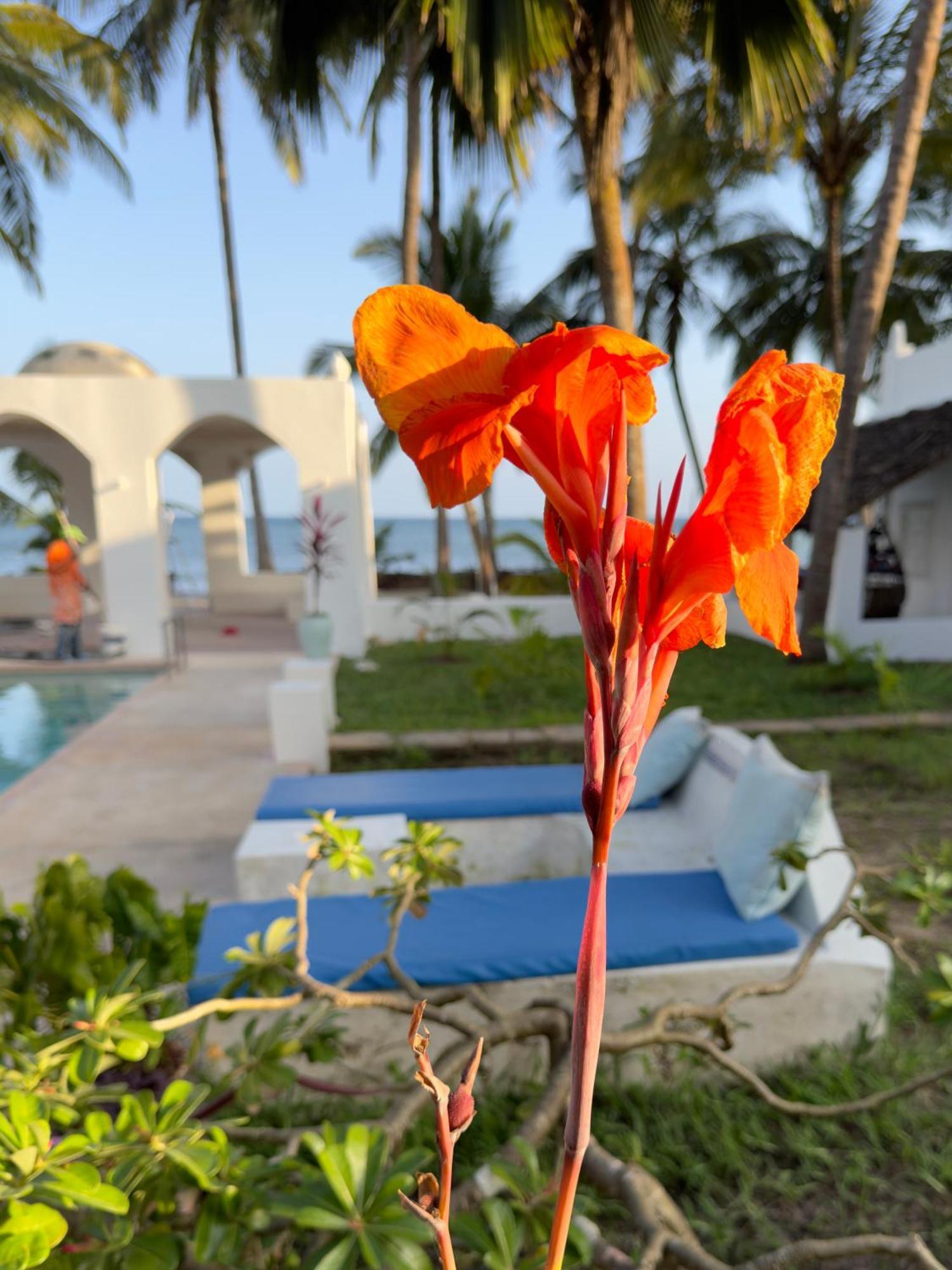 Sawa Sawa Beach House Msambweni Exterior photo